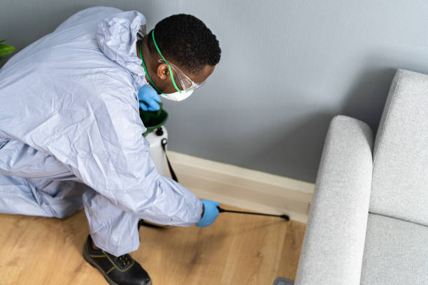 Professional Pest Control in Bridgehampton, NY